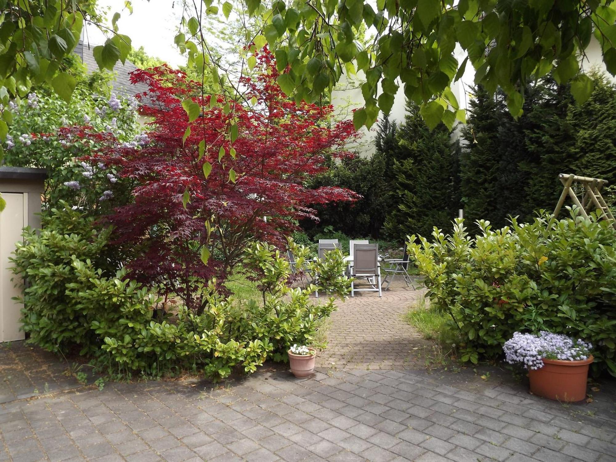 Apartments Und Zimmer Gaestehaus Matthias Дрезден Екстериор снимка