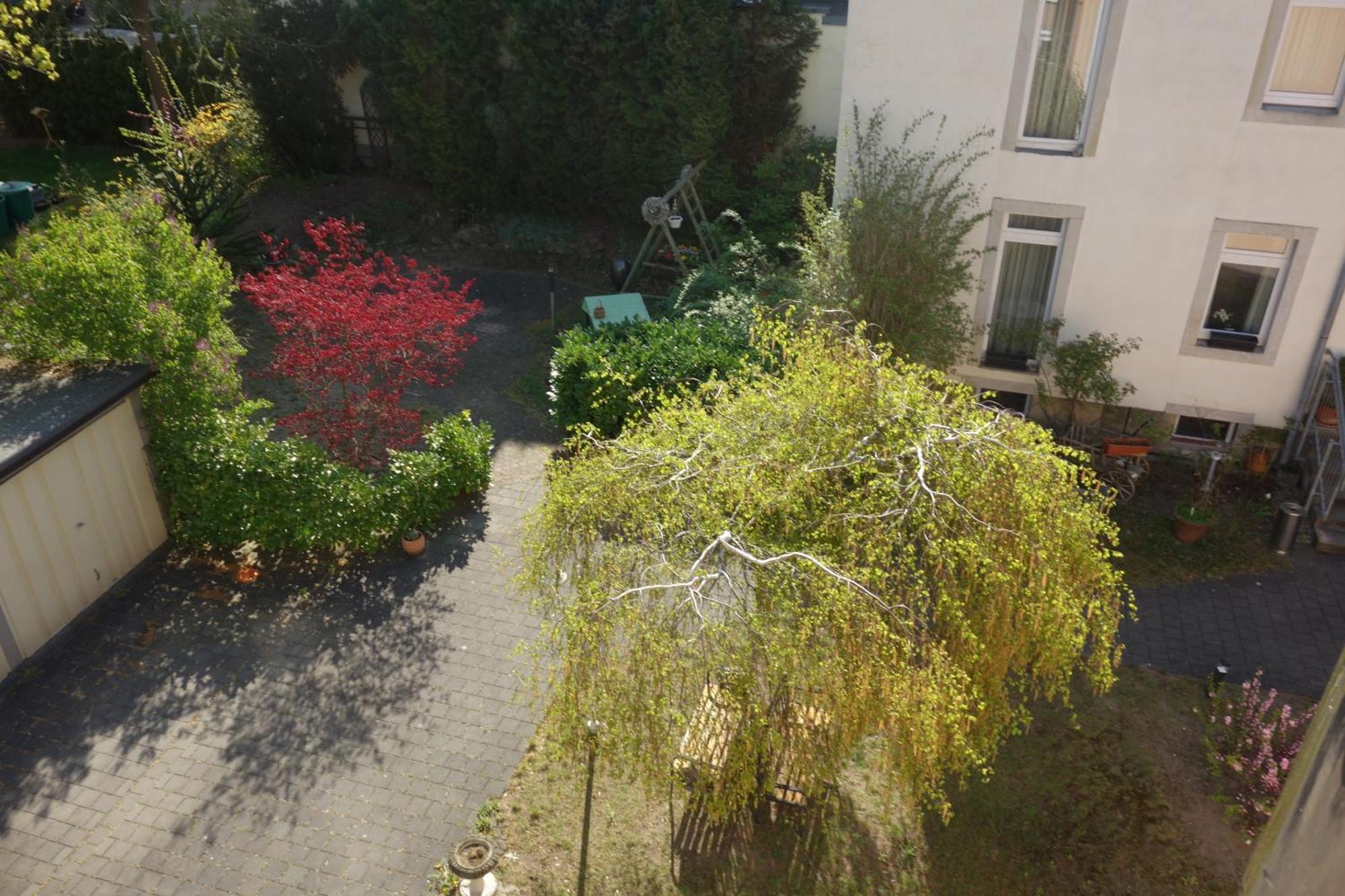 Apartments Und Zimmer Gaestehaus Matthias Дрезден Стая снимка