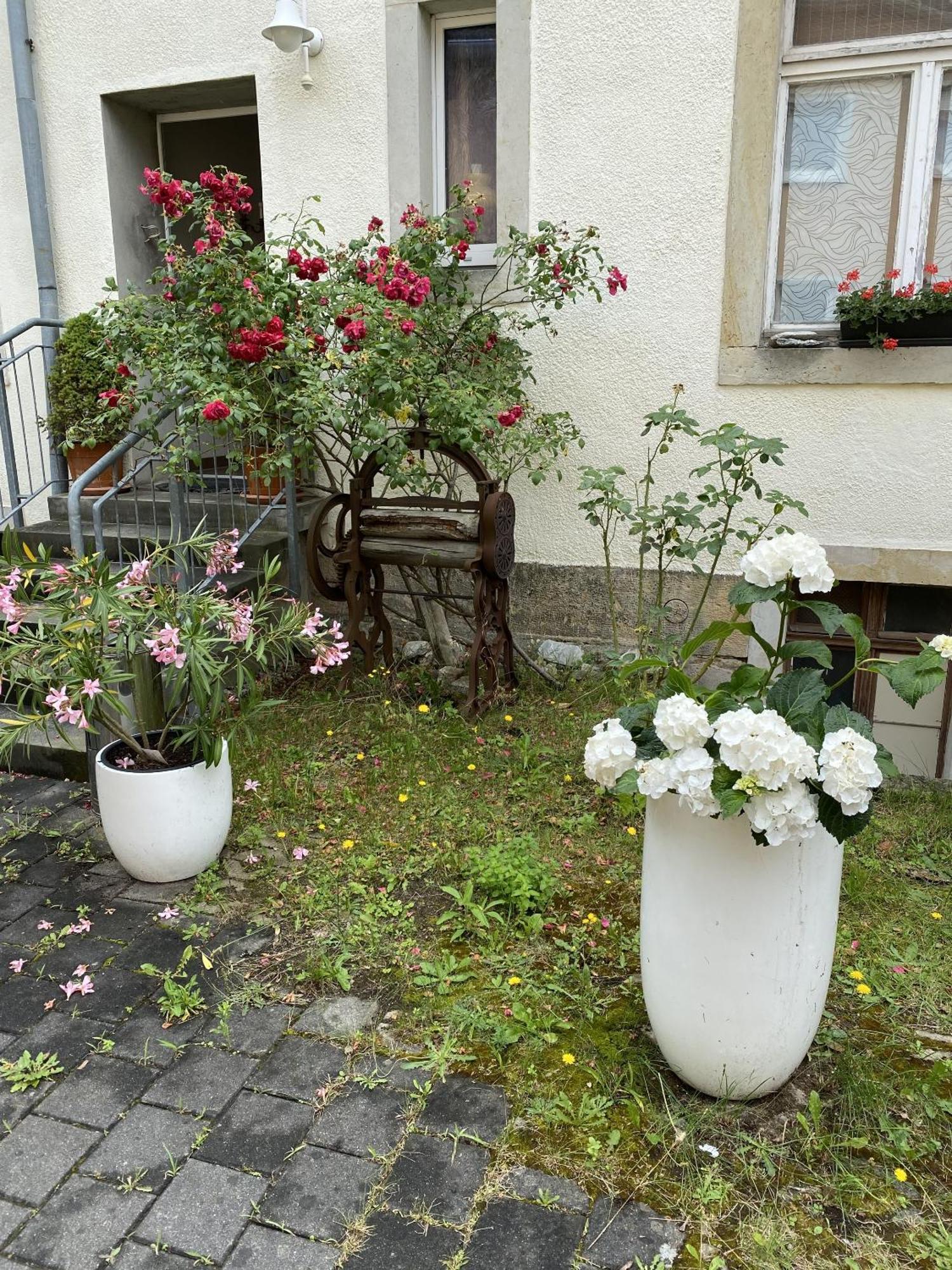 Apartments Und Zimmer Gaestehaus Matthias Дрезден Екстериор снимка