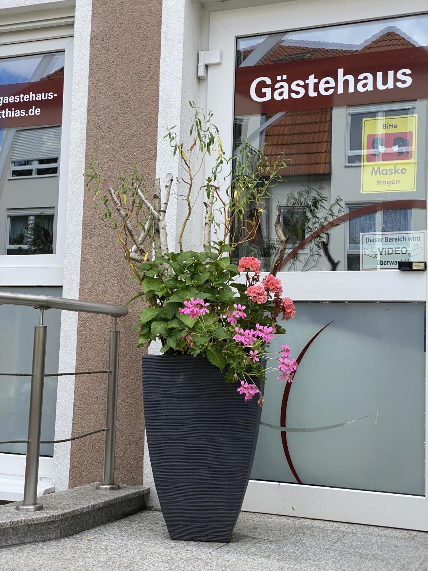 Apartments Und Zimmer Gaestehaus Matthias Дрезден Екстериор снимка